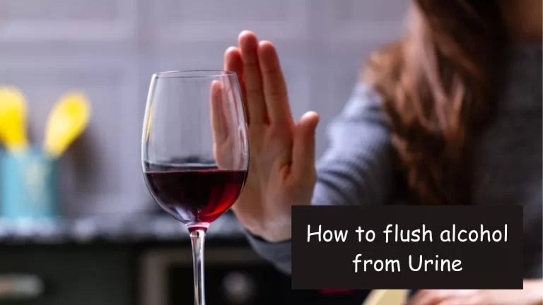 Alcohol Detox Strategies: How To Flush Alcohol From Urine