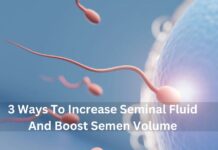3 Ways To Increase Seminal Fluid And Boost Semen Volume 3 Ways To Increase Seminal Fluid And Boost Semen Volume