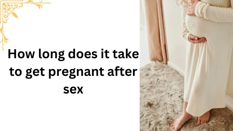 How long does it take to get pregnant after sex