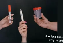 How Long Should You Wait to Take a Urine Test After Using Methamphetamine? How long does meth stay in urine